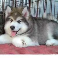 怪人终遇良人983头像