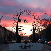 jyucoeng的个人资料头像