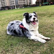 生脱活剥小蜗牛的个人资料头像