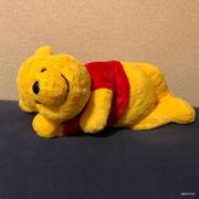 王xxx的个人资料头像