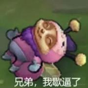 抹茶味的布偶猫Zz的个人资料头像