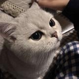用户6658210920929头像