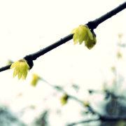 走马行酒醴_驱车布肉鱼的个人资料头像