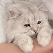 落雨702的个人资料头像