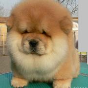 方文473的个人资料头像