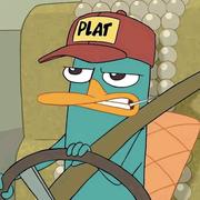 不背八股的AI选手的个人资料头像