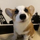 拾忆46885516头像