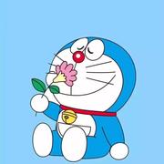 欣愿vivi的个人资料头像