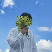 bug制造工程师的个人资料头像