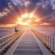 天晴不下雨的个人资料头像