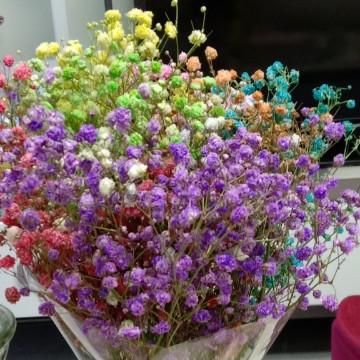 天空285555351头像