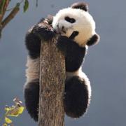 江南听雨的个人资料头像