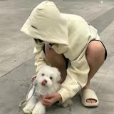 进取花猫oXs头像