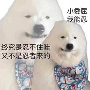 我是个神奇的宝贝的个人资料头像