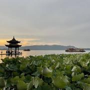 王涛355的个人资料头像