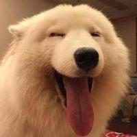 ！！哟。头像