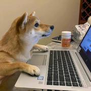 CodersD的个人资料头像