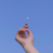 破晓小鸽鸽的个人资料头像