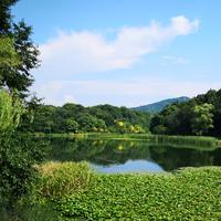 真诚需要勇气头像