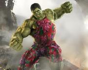 SSL小钻风的个人资料头像