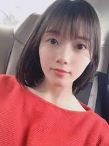 嘿哟嘿哟来赐狗头像