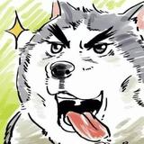 小虎子哦头像