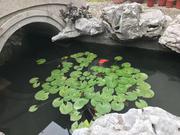 starchen1314的个人资料头像