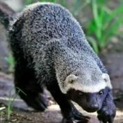 巴黎欧莱雅570的个人资料头像