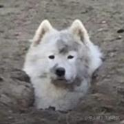 半瓶咣当响的个人资料头像