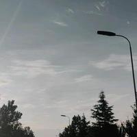 呼伦贝尔的牛羊头像