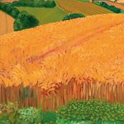 萨米恩托的个人资料头像