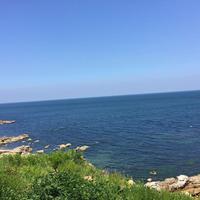 用户593309201118头像