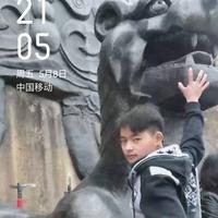 AAA-000顺鸿门窗头像