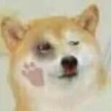 哈哈哈哈嗝头像