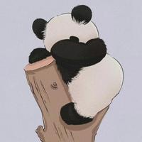 风趣的熊猫先生头像