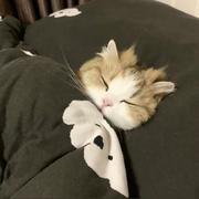 夜羽轩的个人资料头像