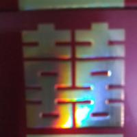 龙龙8838669755头像