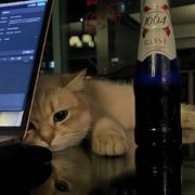 第二次呼吸的个人资料头像