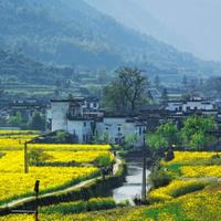 忆家旧景甜未来头像