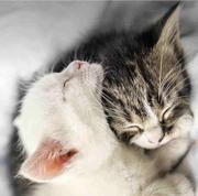 200_authorized的个人资料头像