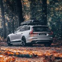 喝点什么口味的西北风头像