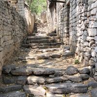 用户7043538157767头像