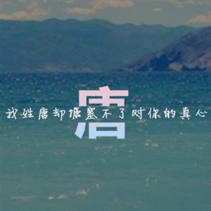 丑石stone头像