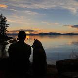 很是中意739头像