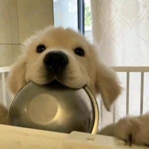 剑飞头像