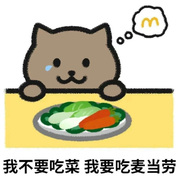不似少年郎的个人资料头像