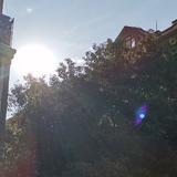 房东的猫旁的一米阳光头像