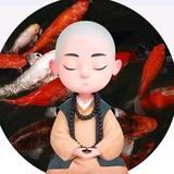 红旗天下9h8S头像