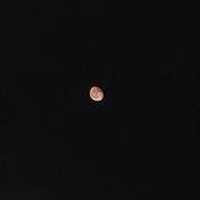 CodingYang的个人资料头像