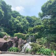 上善若水863的个人资料头像